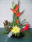 Mirage Florist - Downtown Santa Rosa for All Your Floral Desires