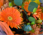 Order Your Thanksgiving Arrangement to Brighten Your Holiday Table
